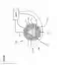 Fig. 10 - Electrochemical sensor and method for manufacturing