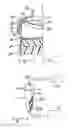 Fig. 03 - FLASH CHROMATOGRAPHY CARTRIDGE
