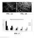 Fig. 02 - HIGH-THROUGHPUT CELLULAR ANALYSIS USING MICROBUBBLE ARRAYS