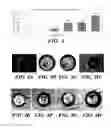 Fig. 03 - HIGH-THROUGHPUT CELLULAR ANALYSIS USING MICROBUBBLE ARRAYS