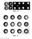 Fig. 04 - HIGH-THROUGHPUT CELLULAR ANALYSIS USING MICROBUBBLE ARRAYS