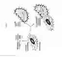 Fig. 09 - Methods for determining susceptibility to coreceptor inhibitors