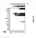 Fig. 07 - System, device and method for high-throughput multi-plexed detection