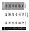 Fig. 43 - System, device and method for high-throughput multi-plexed detection