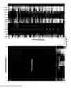 Fig. 49 - System, device and method for high-throughput multi-plexed detection