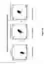 Fig. 71 - System, device and method for high-throughput multi-plexed detection