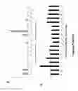 Fig. 74 - System, device and method for high-throughput multi-plexed detection