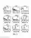 Fig. 07 - Cell-bound complement activation products as diagnostic biomarkers for pre-lupus