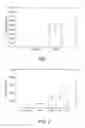 Fig. 02 - METHOD AND DEVICE FOR DETECTION OF PSEUDOMONAS AERUGINOSA