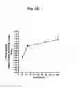 Fig. 04 - Method of treating cancer using a caspase-4 inhibitor