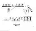 Fig. 02 - Method for high-throughput protein detection with two antibody microarrays