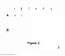 Fig. 04 - Method for high-throughput protein detection with two antibody microarrays