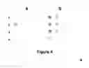 Fig. 05 - Method for high-throughput protein detection with two antibody microarrays