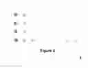 Fig. 06 - Method for high-throughput protein detection with two antibody microarrays