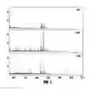 Fig. 07 - Pre-coated surfaces for imaging biomolecules