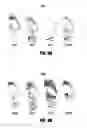 Fig. 08 - Pre-coated surfaces for imaging biomolecules