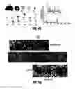 Fig. 15 - Pre-coated surfaces for imaging biomolecules