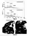 Fig. 16 - Pre-coated surfaces for imaging biomolecules