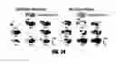 Fig. 18 - Pre-coated surfaces for imaging biomolecules