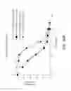 Fig. 115 - ASSAY-READY RECOMBINANT CELLS TRANSIENTLY OVEREXPRESSING
GENES ENCODING DRUG TRANSPORTER PROTEINS AND/OR DRUG
METABOLIZING ENZYMES