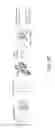 Fig. 129 - ASSAY-READY RECOMBINANT CELLS TRANSIENTLY OVEREXPRESSING
GENES ENCODING DRUG TRANSPORTER PROTEINS AND/OR DRUG
METABOLIZING ENZYMES