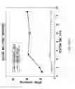 Fig. 44 - ASSAY-READY RECOMBINANT CELLS TRANSIENTLY OVEREXPRESSING
GENES ENCODING DRUG TRANSPORTER PROTEINS AND/OR DRUG
METABOLIZING ENZYMES