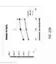 Fig. 52 - ASSAY-READY RECOMBINANT CELLS TRANSIENTLY OVEREXPRESSING
GENES ENCODING DRUG TRANSPORTER PROTEINS AND/OR DRUG
METABOLIZING ENZYMES