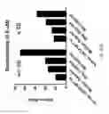 Fig. 64 - ASSAY-READY RECOMBINANT CELLS TRANSIENTLY OVEREXPRESSING
GENES ENCODING DRUG TRANSPORTER PROTEINS AND/OR DRUG
METABOLIZING ENZYMES