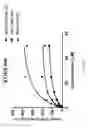 Fig. 66 - ASSAY-READY RECOMBINANT CELLS TRANSIENTLY OVEREXPRESSING
GENES ENCODING DRUG TRANSPORTER PROTEINS AND/OR DRUG
METABOLIZING ENZYMES