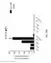 Fig. 68 - ASSAY-READY RECOMBINANT CELLS TRANSIENTLY OVEREXPRESSING
GENES ENCODING DRUG TRANSPORTER PROTEINS AND/OR DRUG
METABOLIZING ENZYMES