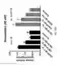Fig. 89 - ASSAY-READY RECOMBINANT CELLS TRANSIENTLY OVEREXPRESSING
GENES ENCODING DRUG TRANSPORTER PROTEINS AND/OR DRUG
METABOLIZING ENZYMES