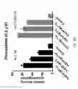 Fig. 90 - ASSAY-READY RECOMBINANT CELLS TRANSIENTLY OVEREXPRESSING
GENES ENCODING DRUG TRANSPORTER PROTEINS AND/OR DRUG
METABOLIZING ENZYMES