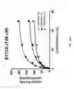 Fig. 92 - ASSAY-READY RECOMBINANT CELLS TRANSIENTLY OVEREXPRESSING
GENES ENCODING DRUG TRANSPORTER PROTEINS AND/OR DRUG
METABOLIZING ENZYMES