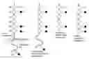 Fig. 01 - Detection of platelet-derived shed CD31
