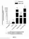 Fig. 06 - Methods useful for vitamin D deficiency and related disorders