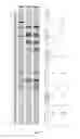 Fig. 03 - Compositions and methods utilizing lysophosphatidylcholine scaffolds