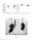 Fig. 09 - Compositions and methods utilizing lysophosphatidylcholine scaffolds