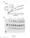 Fig. 20 - Compositions and methods utilizing lysophosphatidylcholine scaffolds