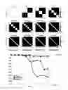 Fig. 09 - Method and apparatus for nonlinear susceptibility magnitude imaging of magnetic nanoparticles
