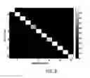 Fig. 10 - Method and apparatus for nonlinear susceptibility magnitude imaging of magnetic nanoparticles