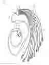Fig. 01 - MRI-compatible 12-lead ECG cable