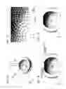 Fig. 02 - TRANSDUCER ARRAY, AND ACOUSTIC WAVE MEASUREMENT APPARATUS