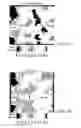 Fig. 10 - Automatic quality control of seismic travel time