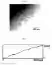 Fig. 13 - Wire grid polarizer plate and method for manufacturing the same