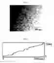 Fig. 14 - Wire grid polarizer plate and method for manufacturing the same