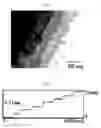 Fig. 15 - Wire grid polarizer plate and method for manufacturing the same