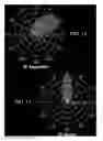 Fig. 09 - Lighting assembly