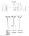 Fig. 08 - Zoom optical system and imaging apparatus provided with the same