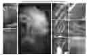 Fig. 01 - Methods and devices for imaging large intact tissue samples