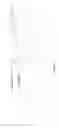 Fig. 15 - Decorative attachment for eyewear temple